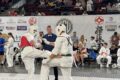 Labdaringame karatė turnyre – gausus Kuršėnų sportininkų būrys ir solidūs rezultatai