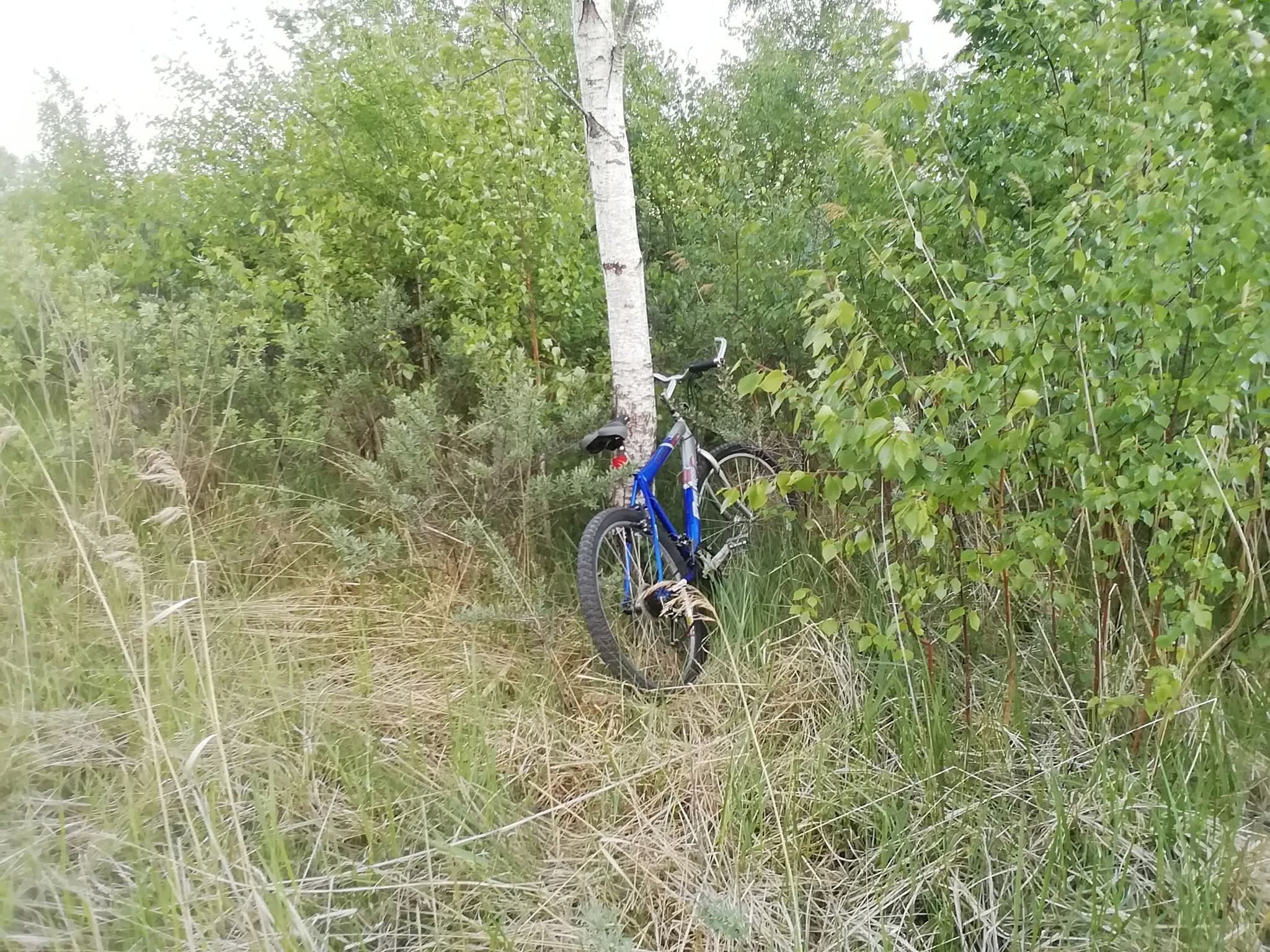 Šiauliuose rastas dviratis – ieškomas savininkas