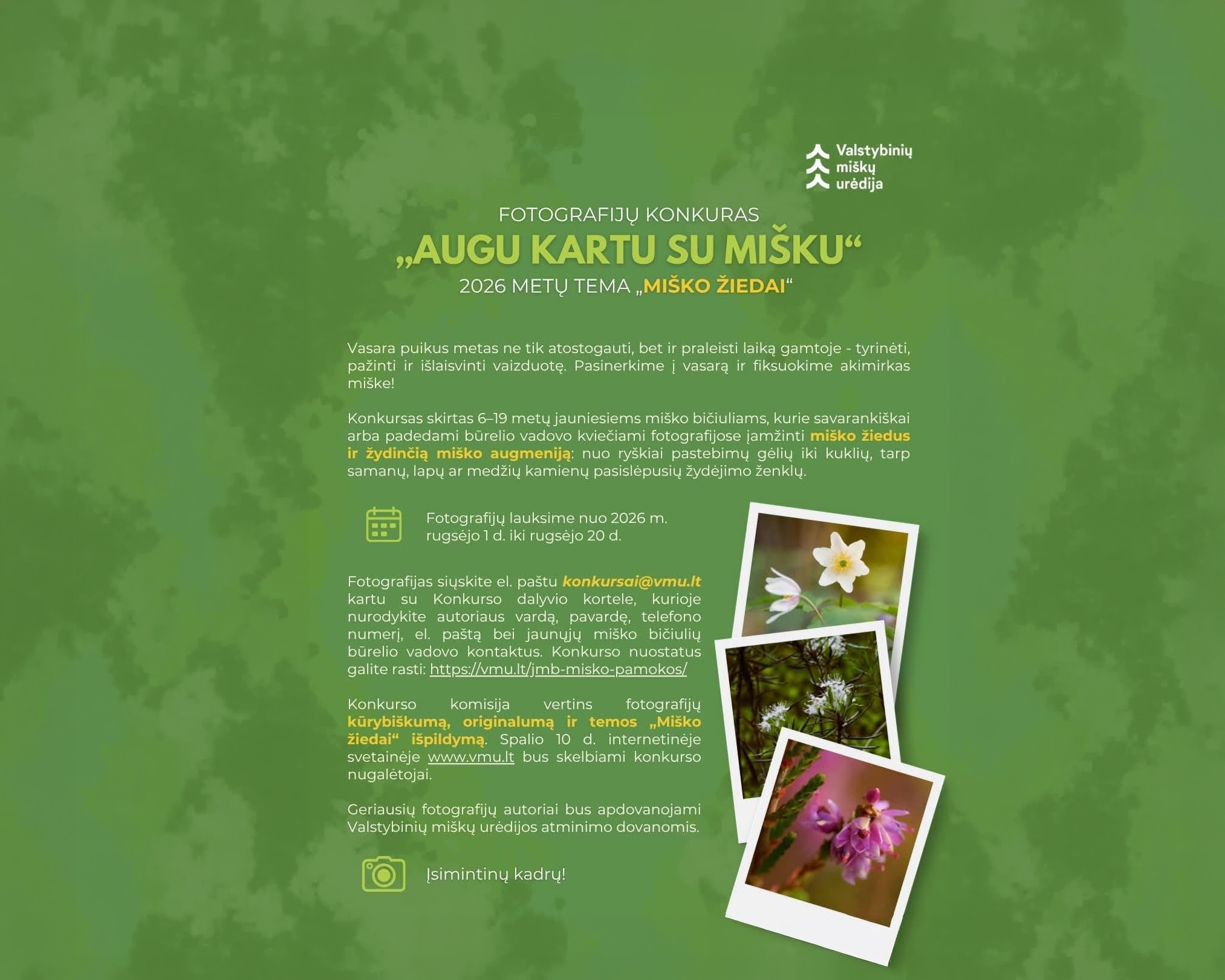 Jaunieji miško bičiuliai kviečiami į fotografijų konkursą „Augu kartu su mišku“