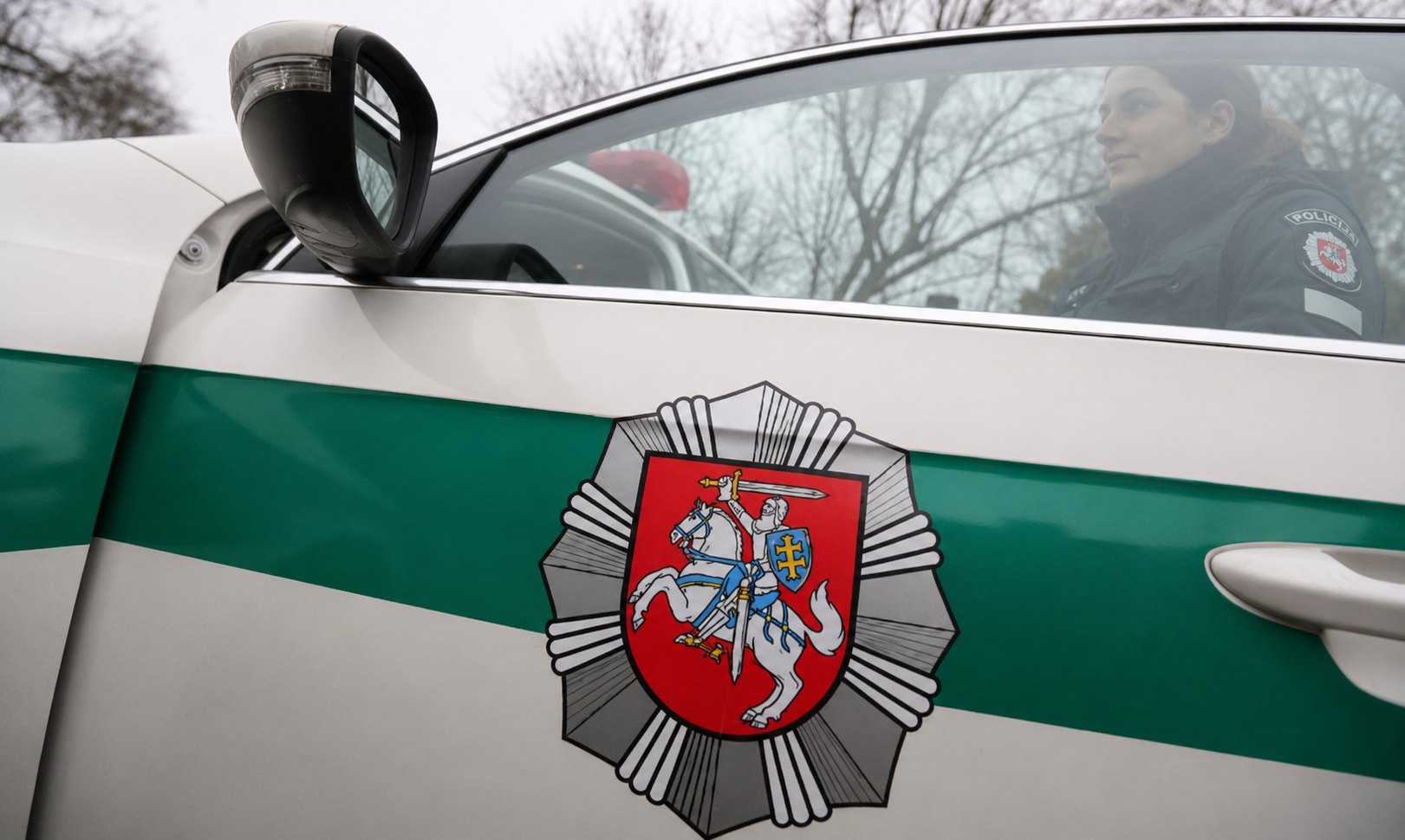 Kelmės rajone girta moteris sužalojo policijos pareigūnę, užpuolikei nustatytas 2,62 promilės girtumas
