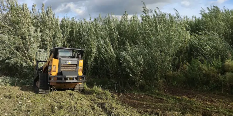 Pristatome dar vieną vietinį verslą: UAB „Aplinkos tvarkymas“ pasirūpina sklypais visoje Lietuvoje