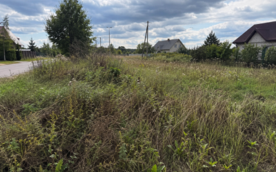 Apleistų sklypų „loterijoje“ – 57 sklypai: Savivaldybė perspėja susitvarkyti, kitaip gali tekti susimokėti daugiau