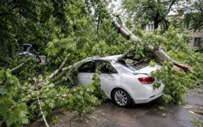 AUDRA SUNIOKOJO DAUGIAU NEI 200 AUTOMOBILIŲ: KOKIAS KLAIDAS VAIRUOTOJAI DARĖ DAŽNIAUSIAI?