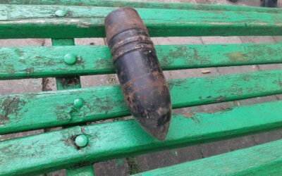 BUBIŲ SENIŪNIJOJE – PAVOJINGAS RADINYS: IŠMINUOTOJAI SUNAIKINO MINOSVAIDŽIO MINĄ