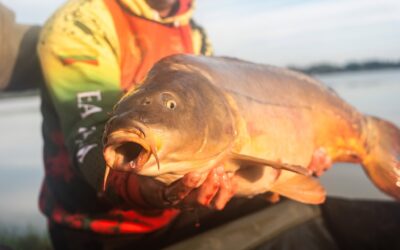 KARPIŲ ŽŪKLĖS VARŽYBAS „SAJO ANGLERS CUP 2026“ UŽKLUPO STICHIJA: PALAPINĖS LŪŽO, STOVYKLA NUNIOKOTA, BET VARŽYBOS TĘSIASI