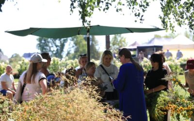ŠIANDIENOS PLANAS – ŽOLINĖ, KRYPTIS NAISIAI: LAUKIA KONCERTAI, ŽIRGAI, PARODOS IR ŠVENTINĖ MUGĖ
