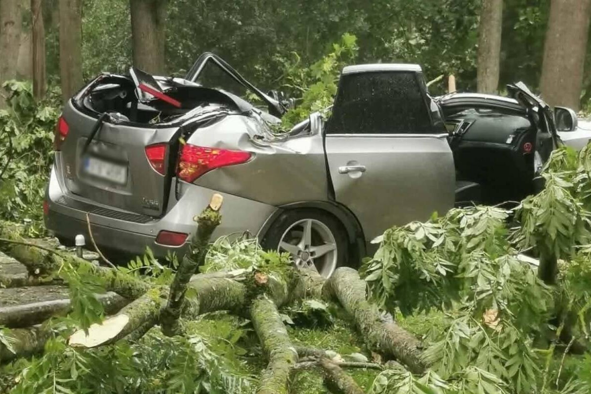 AUDRA NEPASIGAILĖJO AUTOMOBILIŲ: MEDŽIAI UŽVIRTO ANT MAŽIAUSIAI 14 TRANSPORTO PRIEMONIŲ