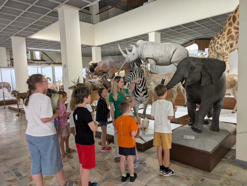 Kauno Tado Ivanausko zoologijos muziejuje edukatorė vaikų grupei pristato gyvūnų pasaulį. Aplink matomi dramblio, žirafos, raganosio, zebrų ir kitų gyvūnų eksponatai.