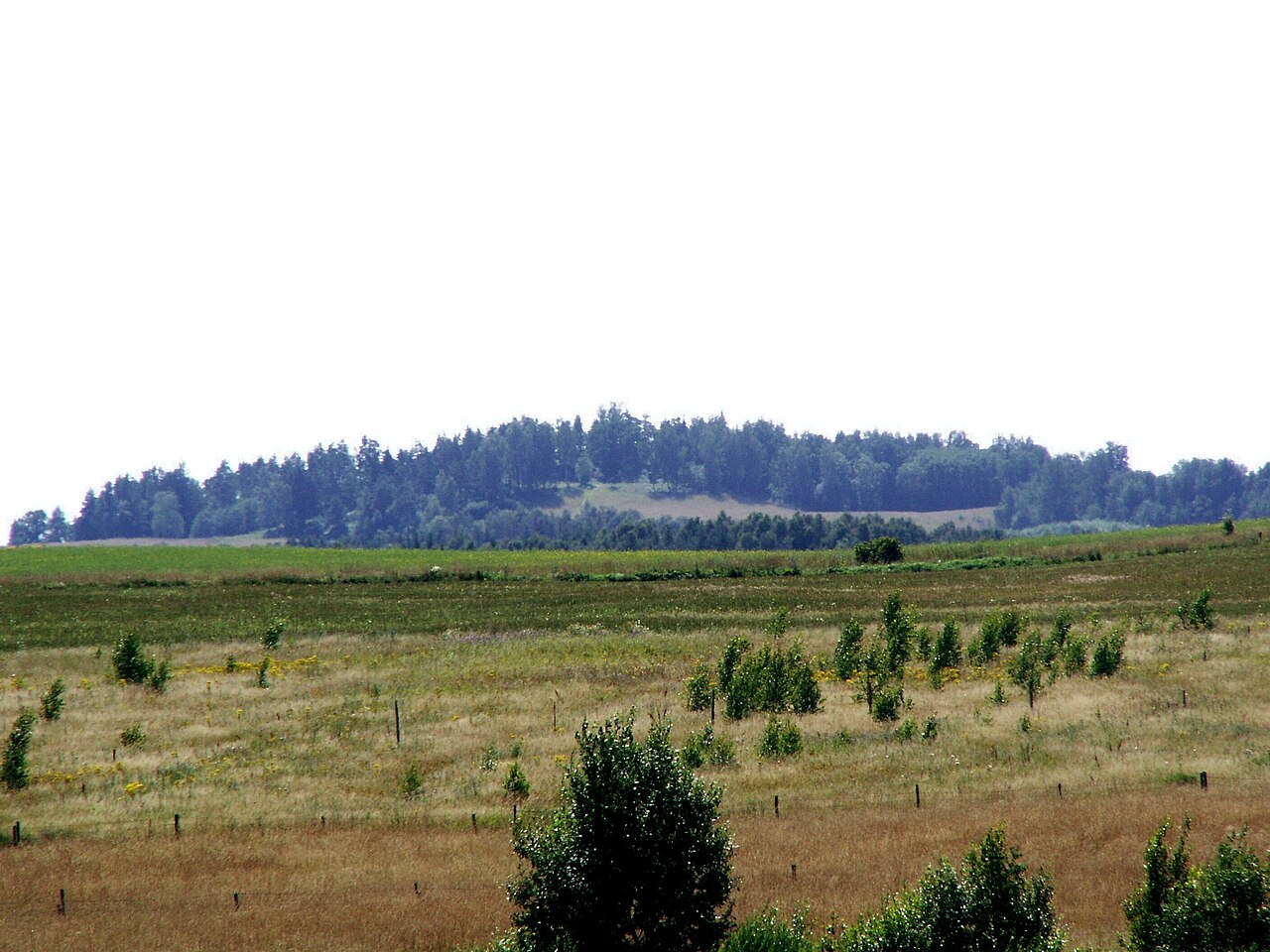 Iš Kurtuvėnų – į Girnikų kalną: 12 kilometrų žygyje lauks istorija, juoko terapija ir meditacija