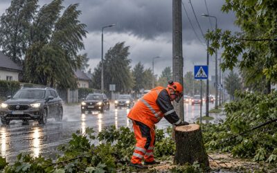 SINOPTIKAI ĮSPĖJA: ŠEŠTADIENĮ – SMARKUS LIETUS, PERKŪNIJA IR IKI 20 M/S VĖJO GŪSIAI