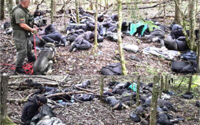 Į Lietuvą neįleisti 24 Somalio piliečiai, prašoma suimti sulaikytą turką, dalyvavusį organizuotoje-grupėje neteisėtai gabenant žmones per valstybės sieną