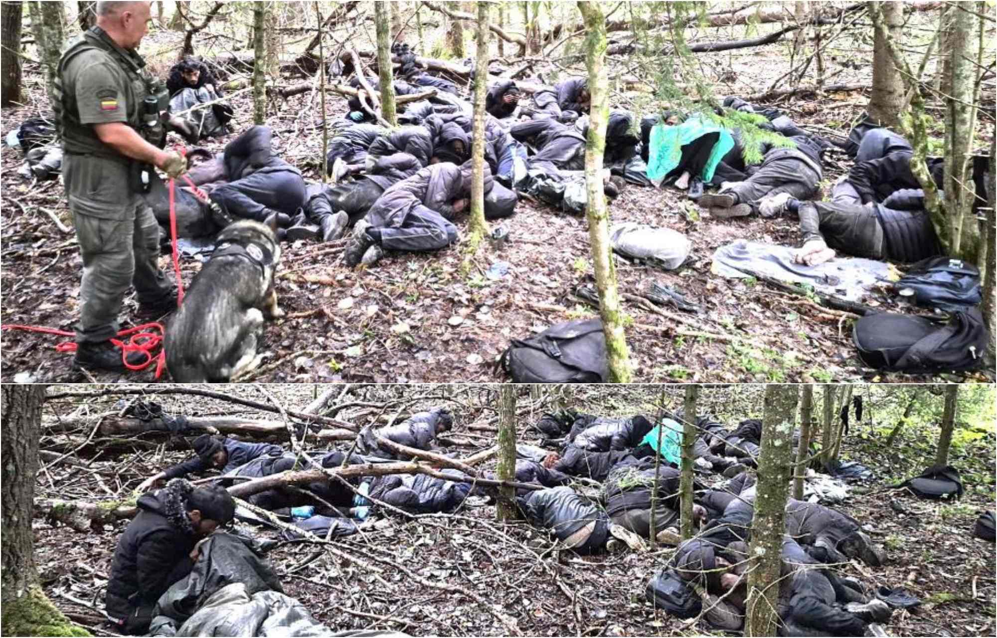 Į Lietuvą neįleisti 24 Somalio piliečiai, prašoma suimti sulaikytą turką, dalyvavusį organizuotoje-grupėje neteisėtai gabenant žmones per valstybės sieną
