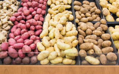 Vienos bulvės – kugeliui, kitos – net desertui: ar žinote, kurias rinktis?