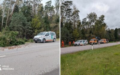 Kelininkai šalina vėjo sukeltas kliūtis